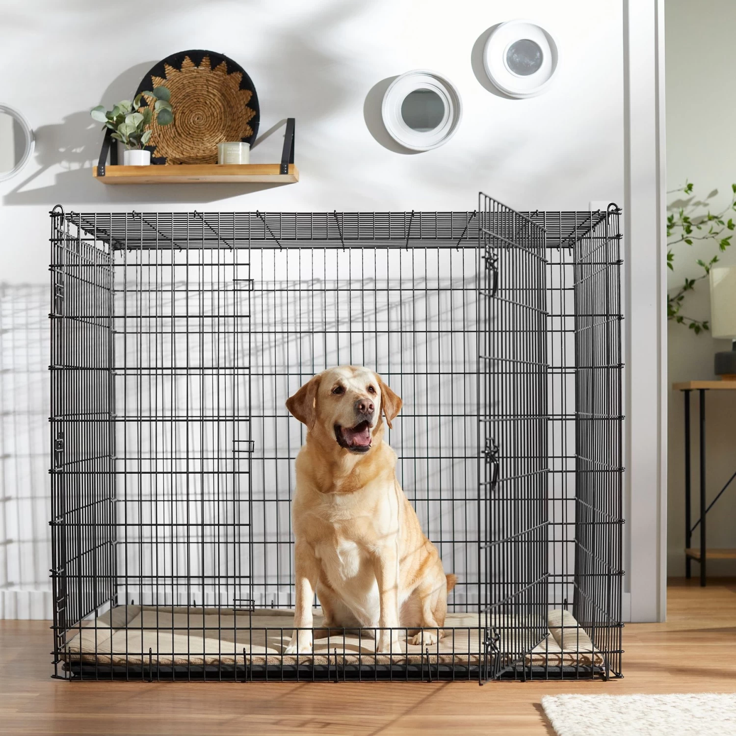 Frisco XX-Large Heavy Duty Double Door Wire Dog Crate, 54 Inch 1 Frisco XX-Large Heavy Duty Double Door Wire Dog Crate, 54 Inch
