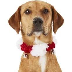 Frisco Holiday Dog & Cat Santa Hat, 1 Count & Frisco Jingle Bells Dog & Cat Holiday Collar With Bells, 1 Count -Frisco 986254 PT7. AC SS1800 V1698258115